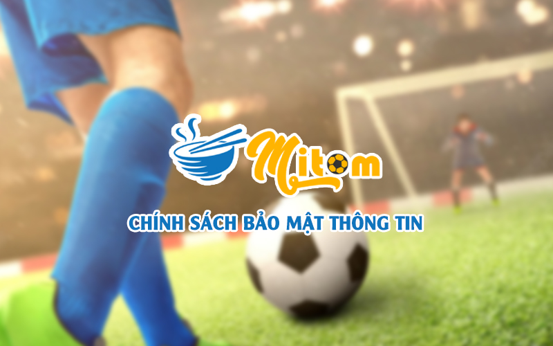 chinh-sach-bao-mat-thong-tin-nguoi-dung-tai-mi-tom-tv